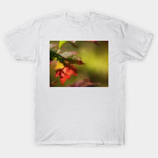 Rainbow Leaf T-Shirt